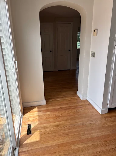 Sunlight across a restored hardwood floor